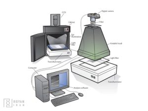 ژل داکیومنت