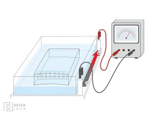 الکتروفورز