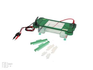 الکتروفورز افقی