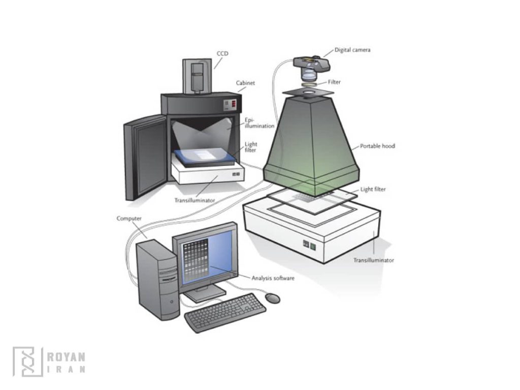 ژل داک (Gel Documentation)