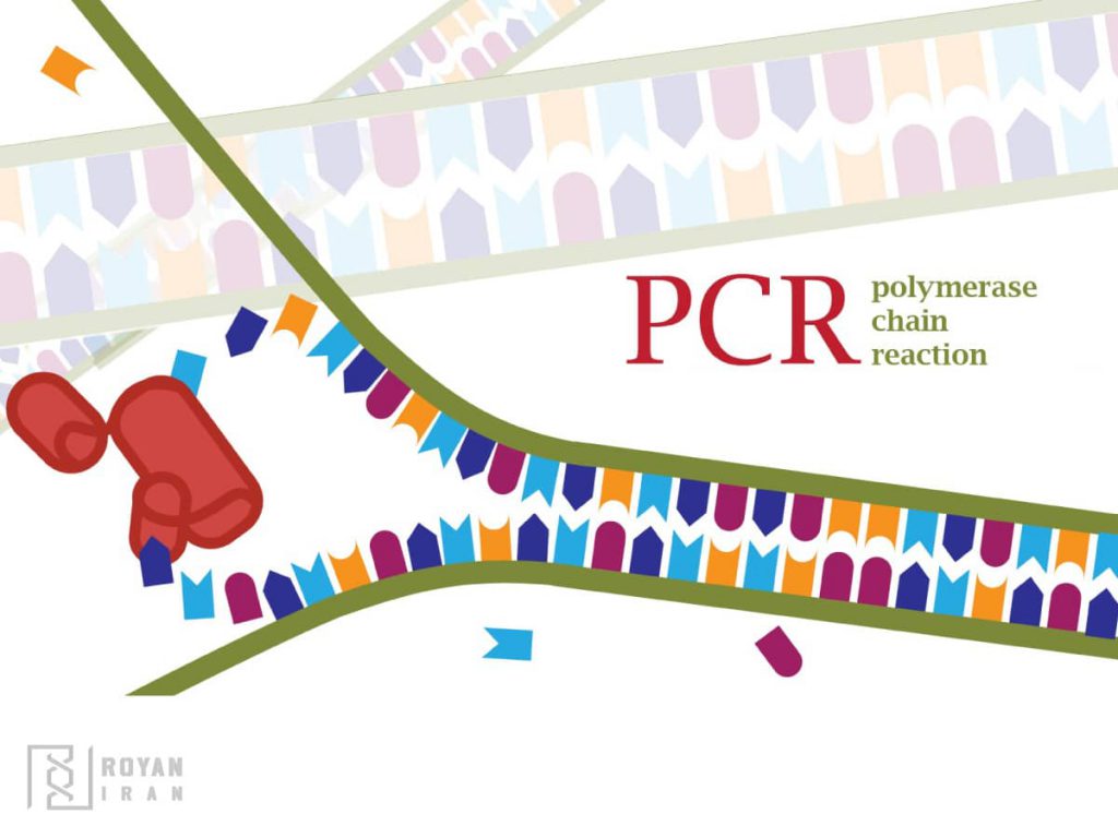 pcr ترمال سایکلر