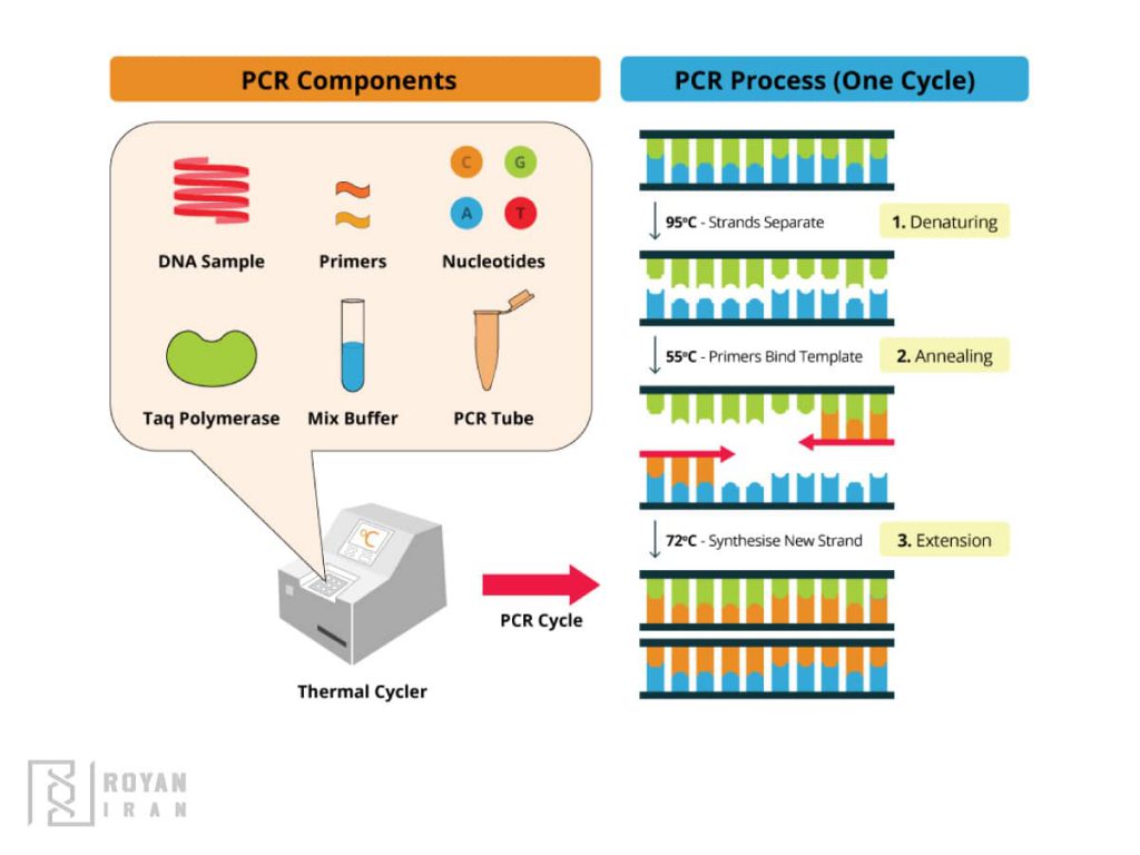 pcr ترمال سایکلر