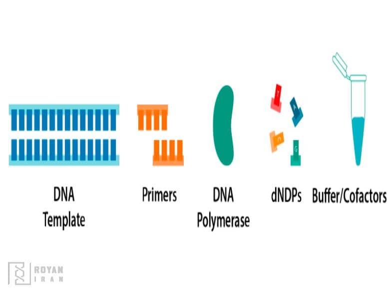 اجزای PCR