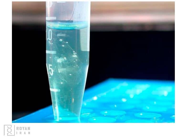 استخراج DNA