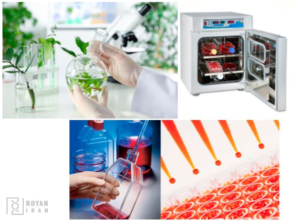 تجهیزات آزمایشگاه کشت بافت