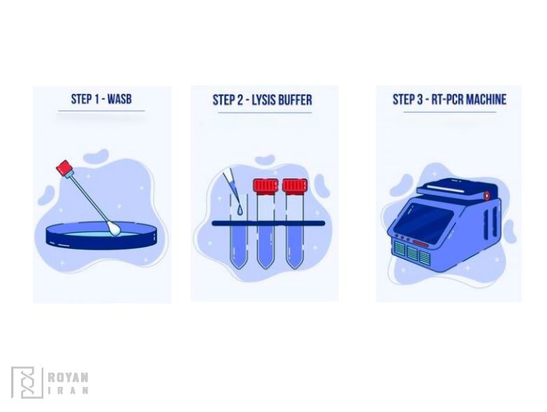 چرخه های ترمال سایکلر PCR